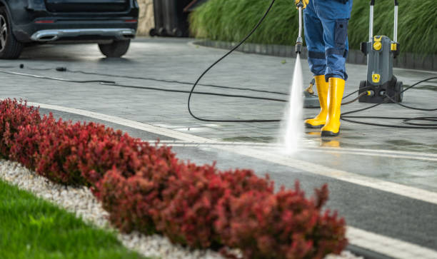 Best Exterior Home Cleaning  in New Holstein, WI
